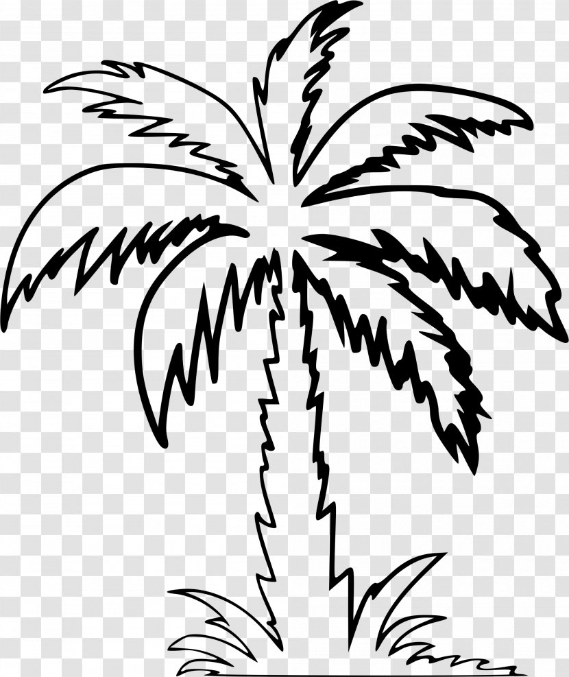 Arecaceae Drawing Tree Clip Art - Windows Metafile - Palm Clipart Transparent PNG