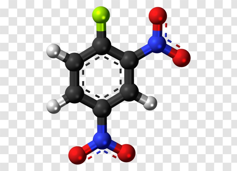 Benzoic Acid Chemical Compound Molecule Substance - Anthranilic - Phthalic Transparent PNG
