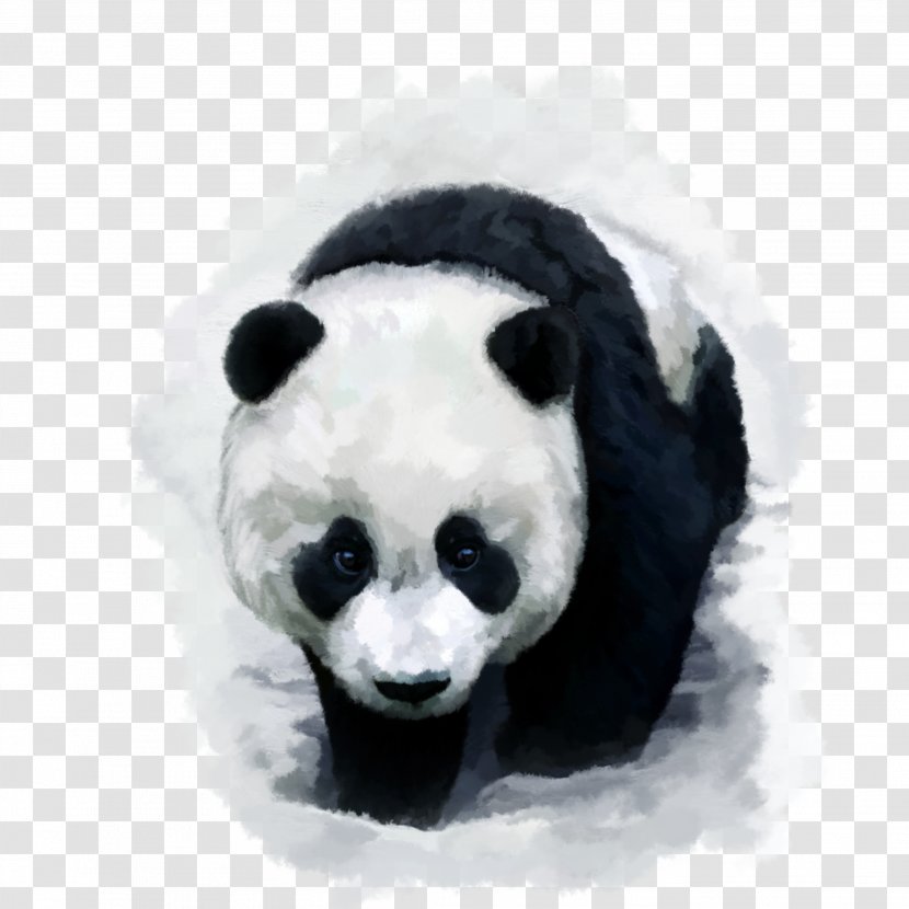 Giant Panda Bear Red Desktop Wallpaper Baby Pandas - Carnivoran Transparent PNG