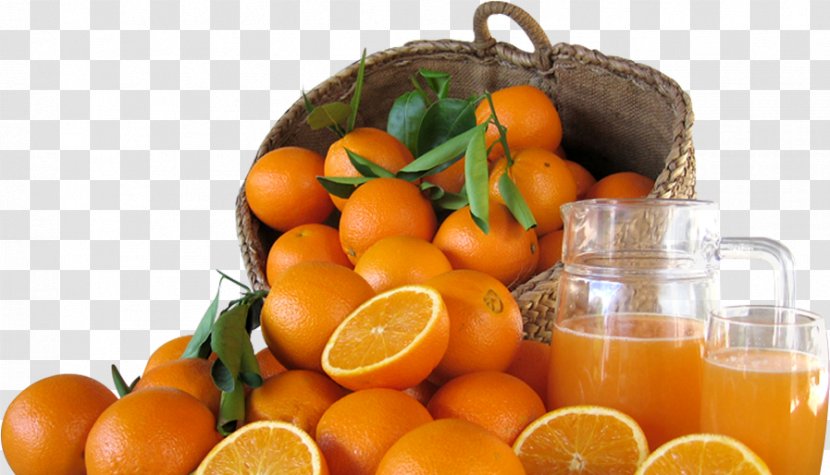 Orange Juice Fruit Mandarina LaMejorNaranja.com - Diet Food Transparent PNG