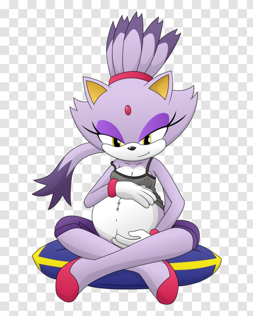 Sonic The Hedgehog Pregnancy Blaze Cat - Frame Transparent PNG