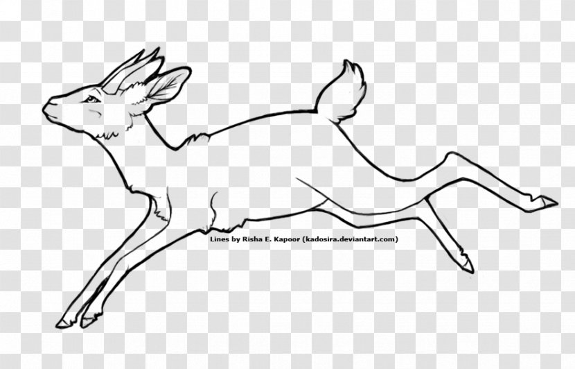 Line Art Drawing Coloring Book Sketch - Horse Like Mammal - Gazelle Transparent PNG