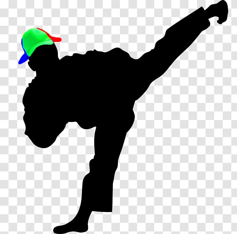 Moo Duk Kwan Taekwondo Martial Arts Tang Soo Do - Karate Transparent PNG