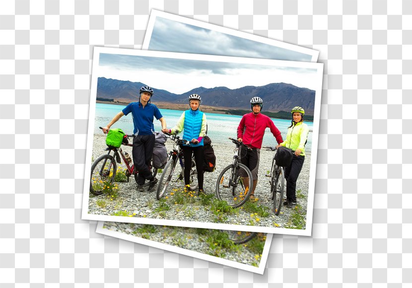 Travel Insurance Cycling Bicycle - Kidney Transparent PNG