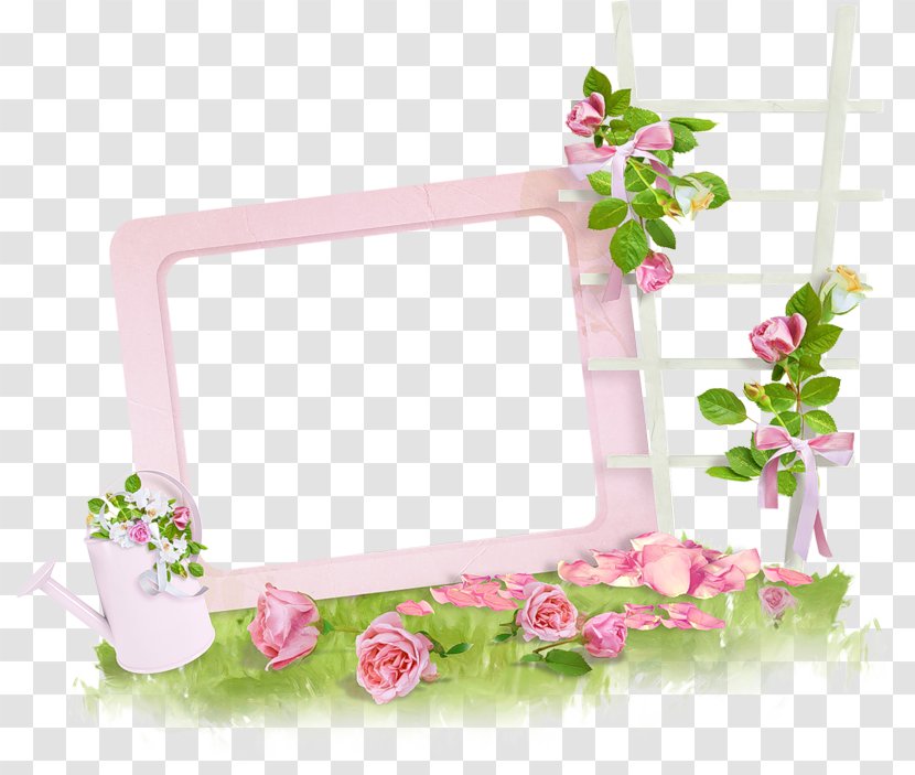 Beach Rose Picture Frames Flower Library - Pink - Color Transparent PNG