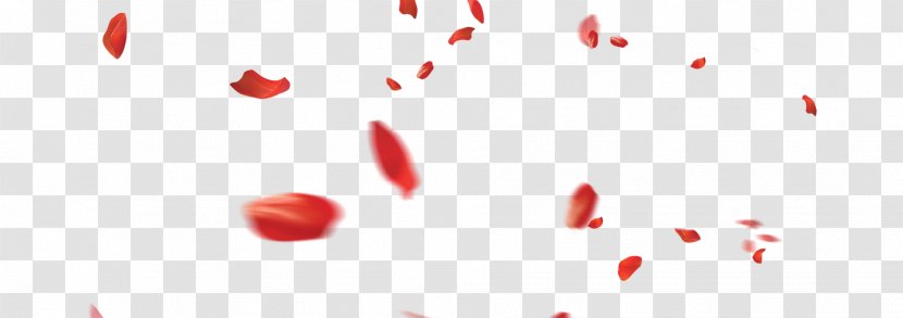 Petal Download Wallpaper - Text - Falling Petals Transparent PNG