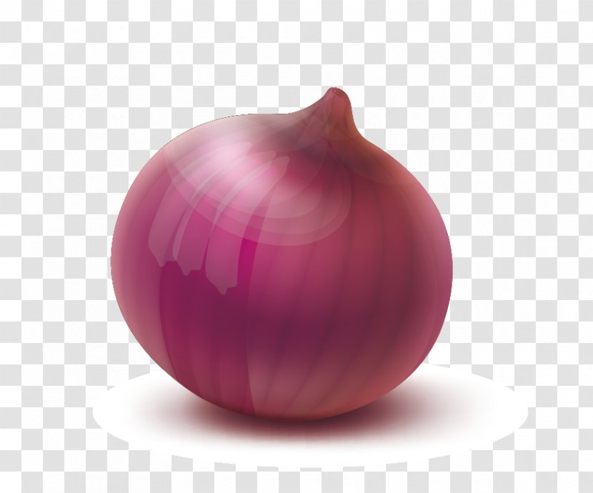 Red Onion Yellow Magenta Sphere - Genus - Vector Onions Transparent PNG