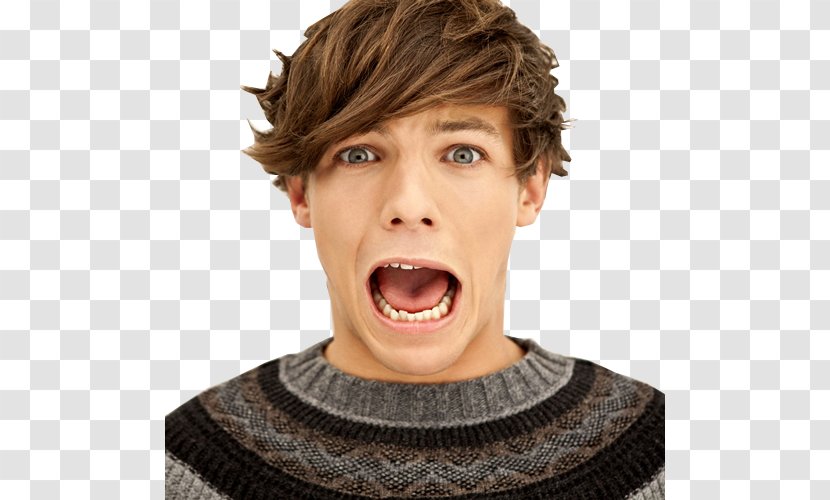 Louis Tomlinson One Direction Up All Night Tour The X Factor - Frame Transparent PNG