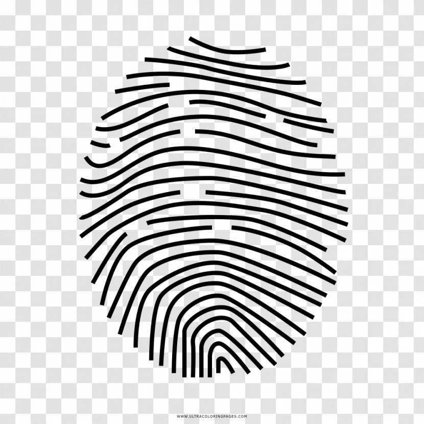Stock Photography Royalty-free Vector Graphics Illustration Shutterstock - Royaltyfree - Multi Colored Fingerprint Without Watermark Transparent PNG