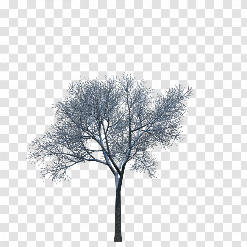 Plant Tree Download 3D Computer Graphics - Monochrome Transparent PNG