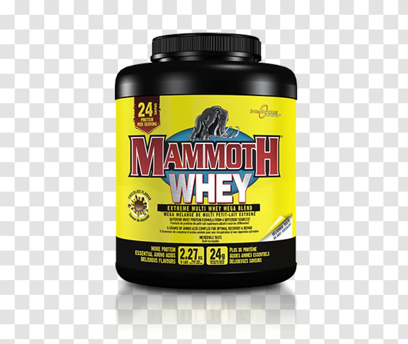 Dietary Supplement Bodybuilding Mammoth Mass 10lb Chocolate Interactive 6.8kg Gainer - Muscle Hypertrophy - Mutant Clothing Transparent PNG