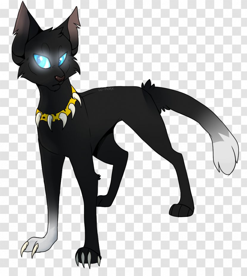Whiskers Cat Dog Canidae Mammal Transparent PNG
