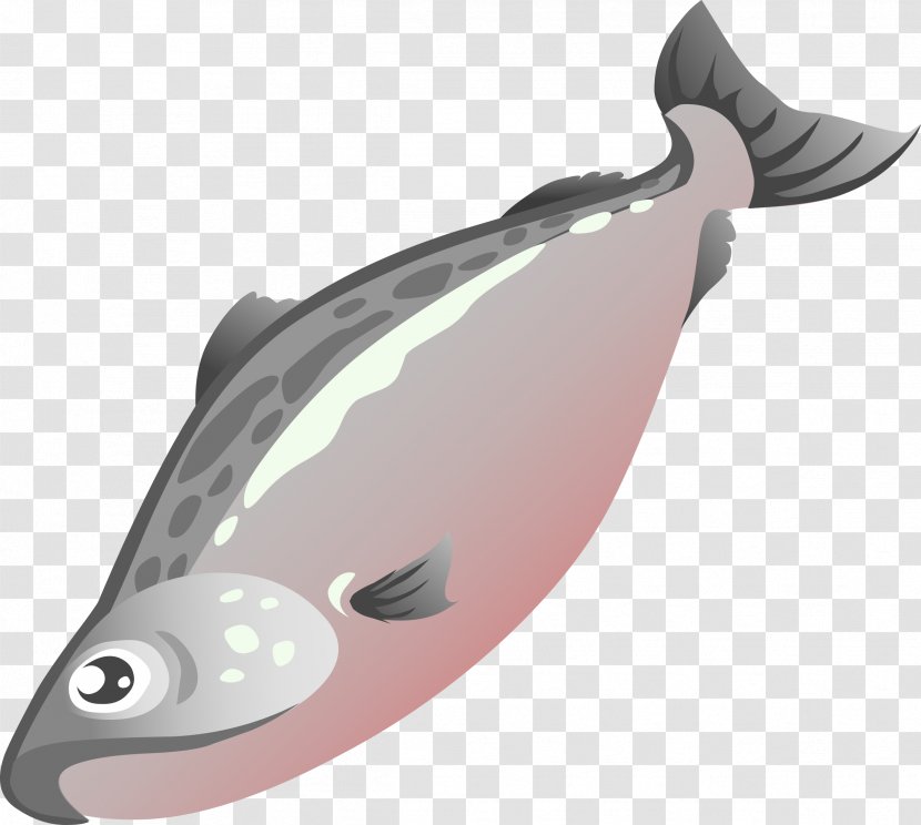 Salmon Free Content Clip Art - Marine Mammal - Cliparts Transparent PNG