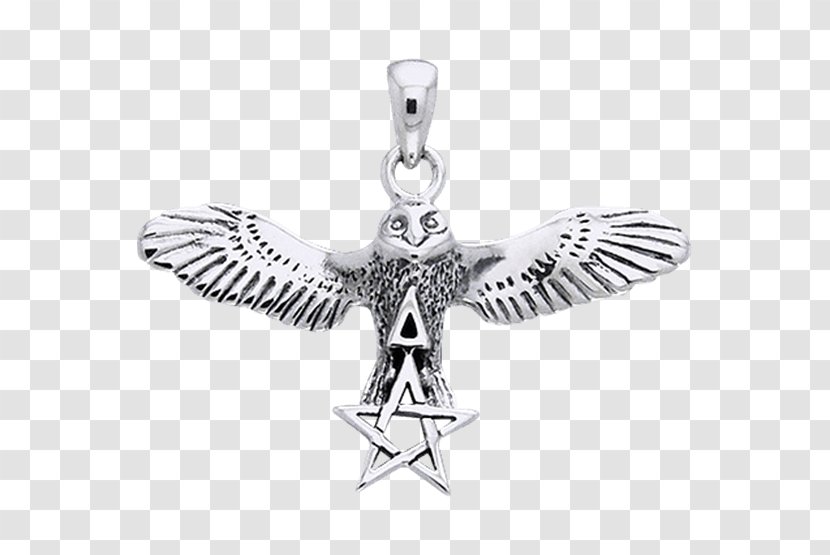 Charms & Pendants Wicca Pentacle Pentagram Altar - Suit Of Coins - Flying Owl Transparent PNG
