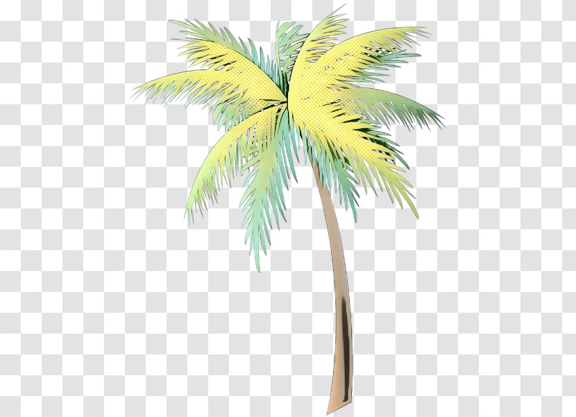 Asian Palmyra Palm Coconut Trees Date Leaf - Flowerpot - Green Transparent PNG