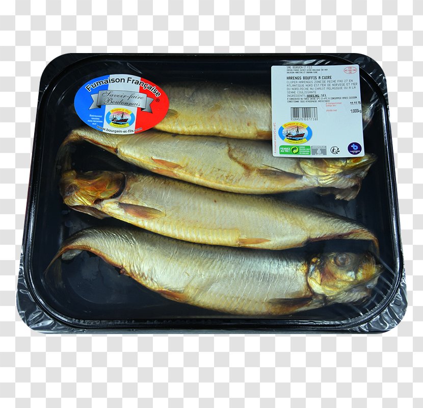 Kipper Capelin Atlantic Herring Oily Fish Sardine - Terrine - Dimanche Du Fils Prodigue Transparent PNG