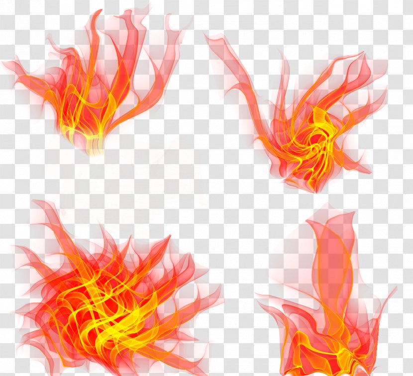 Flame Fire Drawing - Trademark Transparent PNG