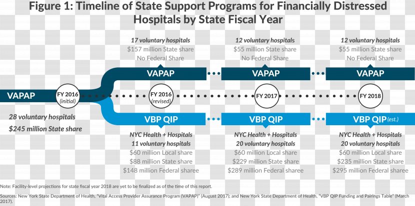 New York State Department Of Health Medicaid Federal Government The United States Disproportionate Share Hospital - Text Transparent PNG