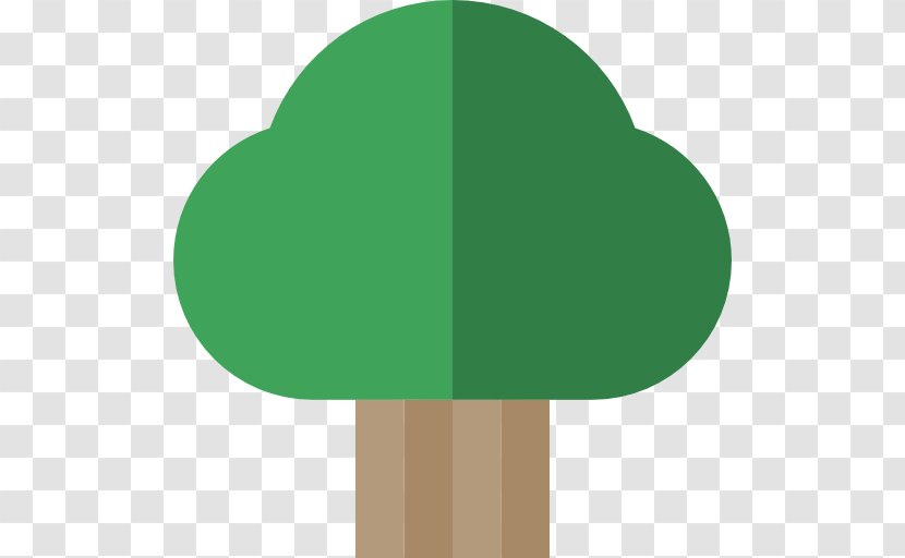 Tree - Drawing - Cypress Transparent PNG