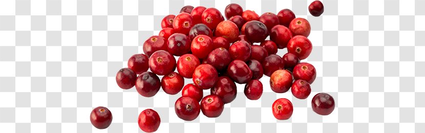 Pink Peppercorn Zante Currant Barbados Cherry Food Lingonberry Transparent PNG