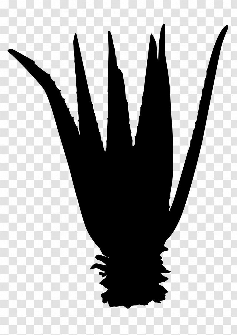 Beak Clip Art Finger Silhouette Feather - Logo - Tree Transparent PNG