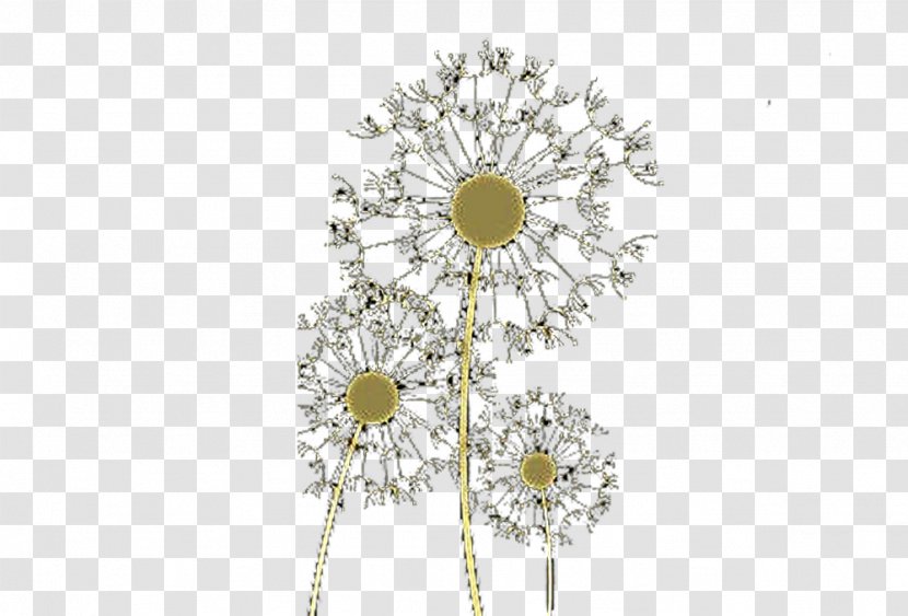 Common Dandelion Taraxacum Platycarpum Euclidean Vector - Three Picture Material Transparent PNG