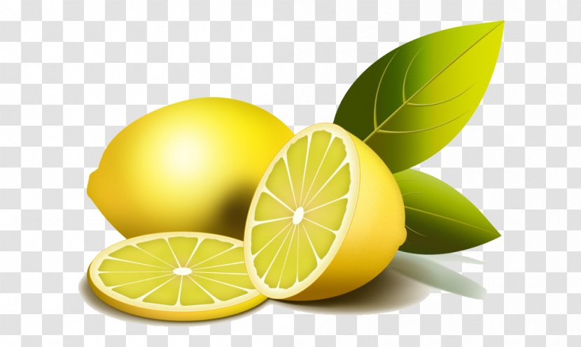 Juice Lemonade - Fruit - Cartoon Lemon Slices Transparent PNG