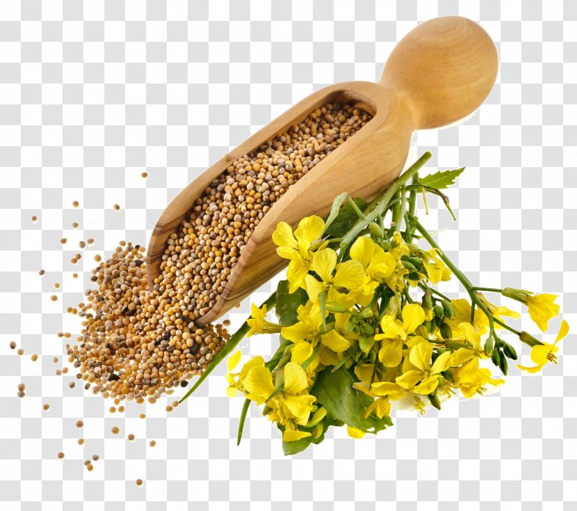 Indian Cuisine Mustard Plant Seed Oil - Greens Transparent PNG