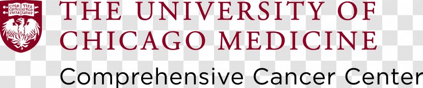 University Of Chicago Medical Center Southern California Comprehensive Cancer Illinois Onc - Robert H Lurie Transparent PNG