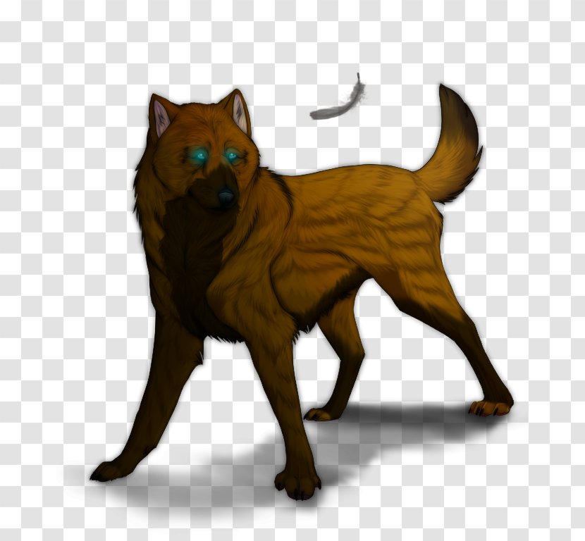 Dog Breed Akita Red Fox Cat Mammal - Gray Wolf Transparent PNG