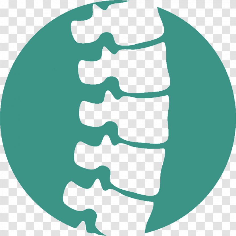 Back Pain Chiropractic Vertebral Column Chiropractor Human Factors And Ergonomics - Health Transparent PNG