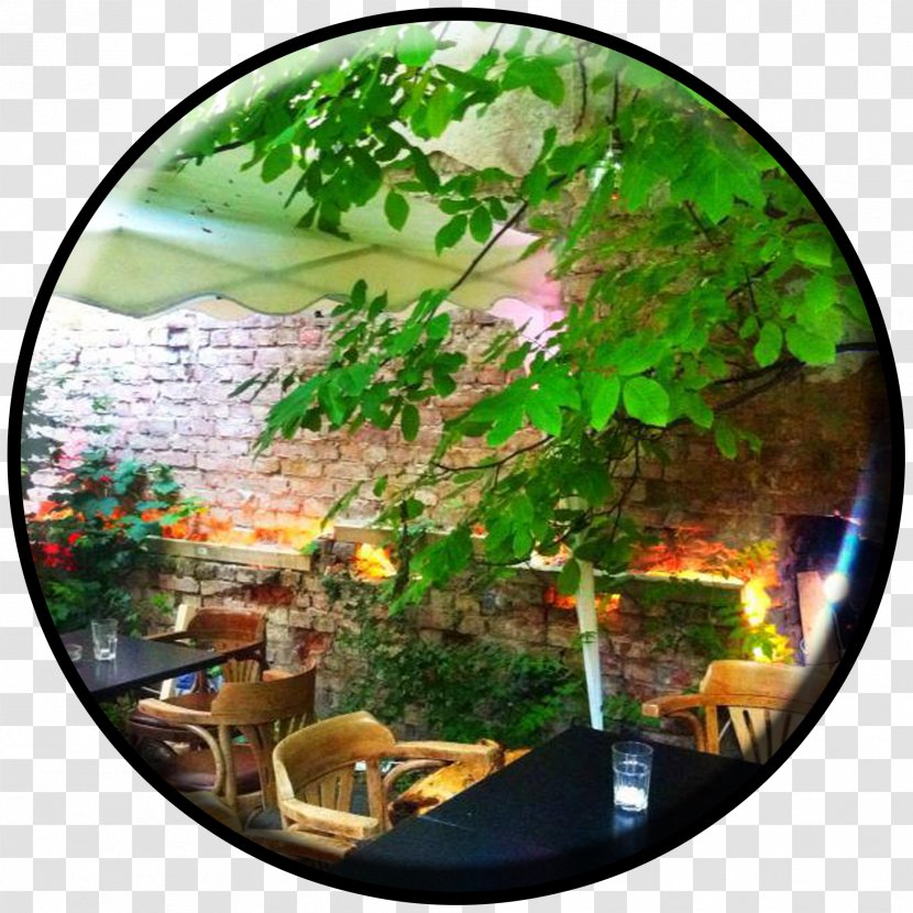 Woanders Bar Tourist Attraction Review Nightclub - Plant - Chilling Transparent PNG