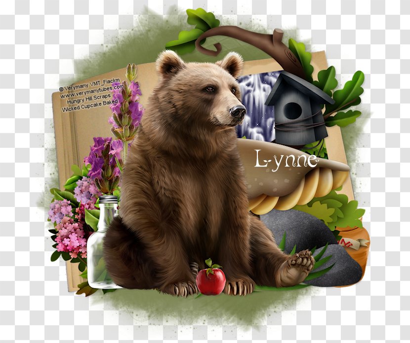 Grizzly Bear Terrestrial Animal Snout Transparent PNG