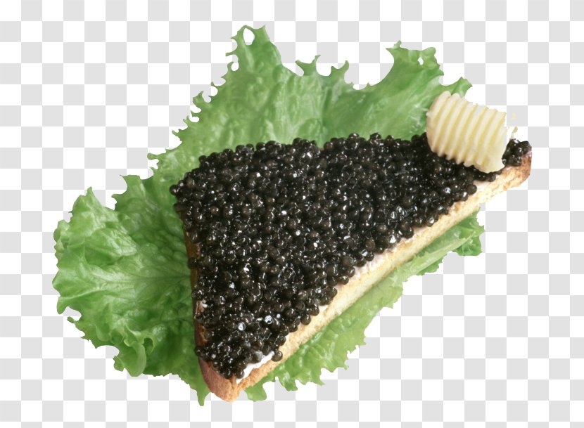 Beluga Caviar Butterbrot Russian Cuisine Roe - Superfood - Bread Transparent PNG
