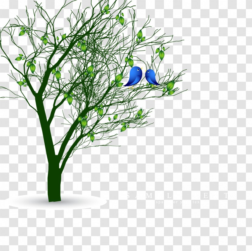 Bird Euclidean Vector Spring Tree - Nature Transparent PNG