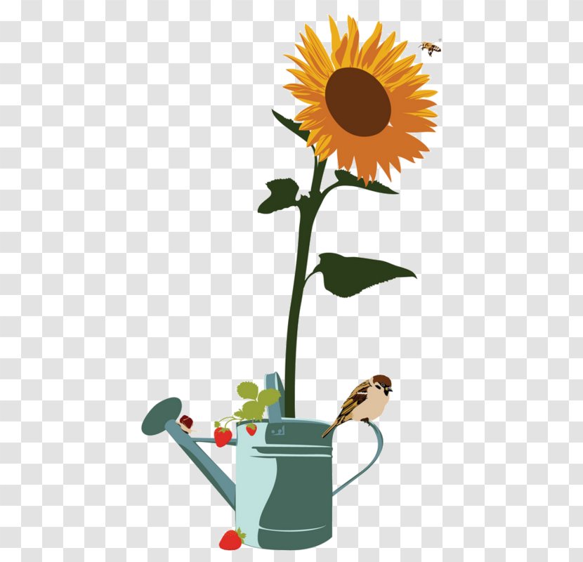 Common Sunflower Yellow Clip Art - Sunflowers Transparent PNG