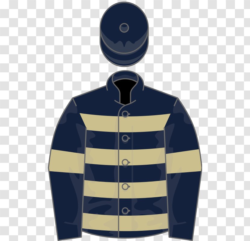 Fred Winter Juvenile Novices' Handicap Hurdle Wikipedia Thoroughbred 2017 Melbourne Cup - Electric Blue - Tightrope Transparent PNG