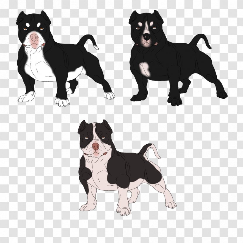 Boston Terrier Puppy Dog Breed Non-sporting Group (dog) - Like Mammal Transparent PNG
