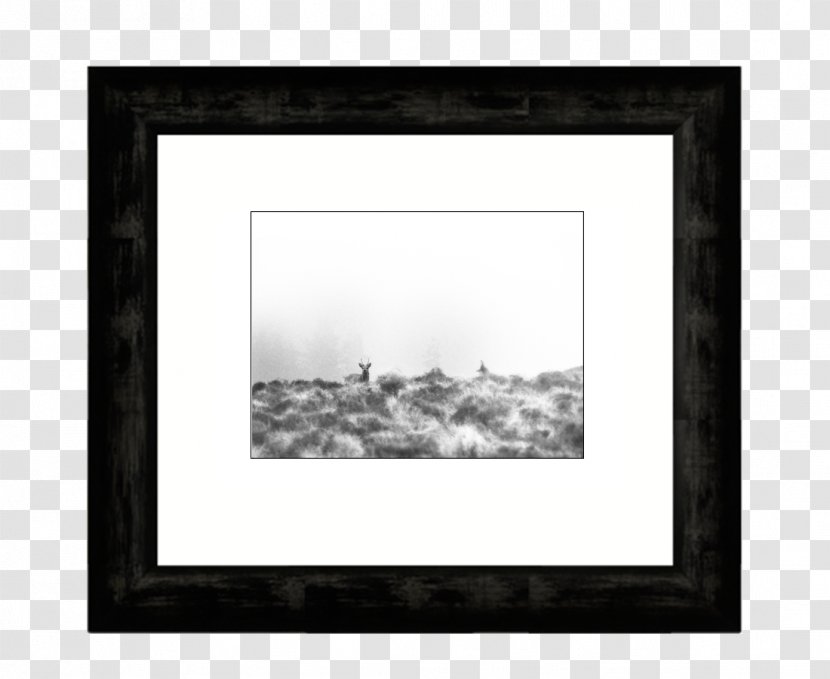 Picture Frames Mat Art - Paper - Encadrement Transparent PNG