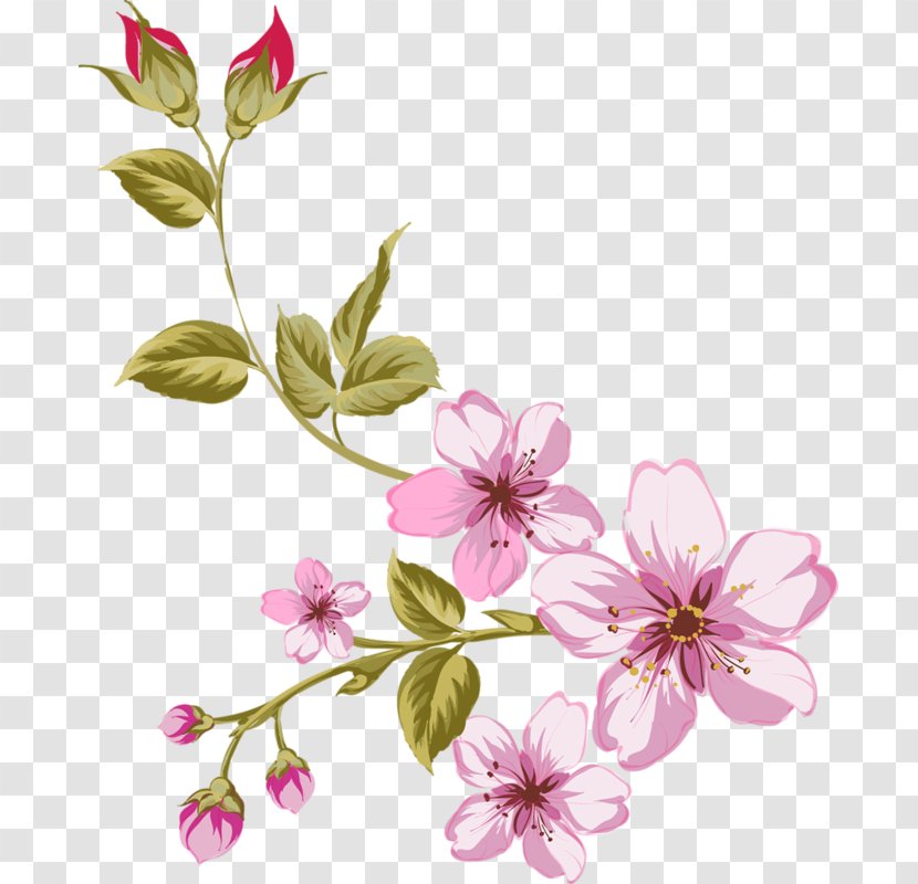 Flower - Pink Flowers - Rose Decoration Transparent PNG