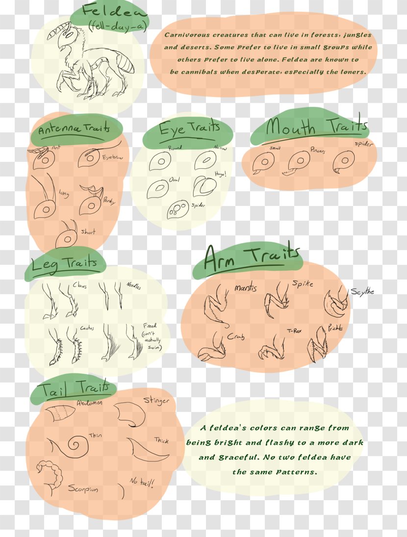 Product Human Behavior Clip Art Animal - Organism - Information Sheet Transparent PNG