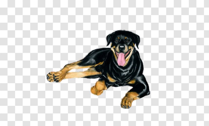 Rottweiler Puppy Dog Breed Universe Thought Transparent PNG