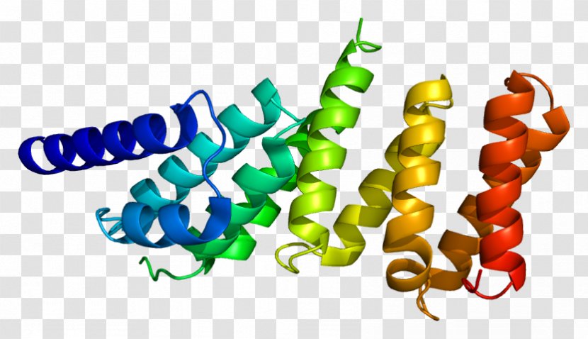 Eukaryotic Initiation Factor EIF4G3 Translation EIF4E - Cartoon - Flower Transparent PNG