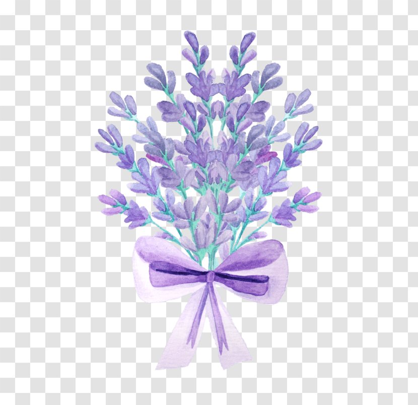 Lavender Image Stock Illustration Royalty-free - Plant - Alfazema Ornament Transparent PNG