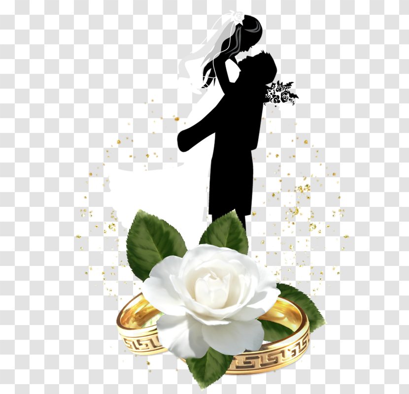 Wedding Invitation Marriage Floral Design Bridegroom - Rose Family Transparent PNG
