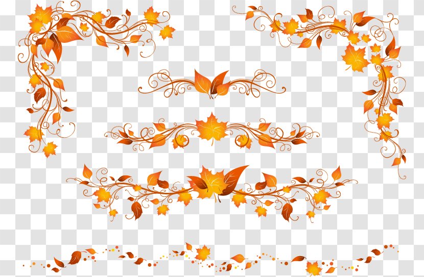 Autumn Leaf Color Maple - Petal - Pattern Transparent PNG