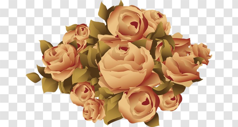 Garden Roses Flower Download - Rose Family - Hand-painted Vintage Floral Element Transparent PNG
