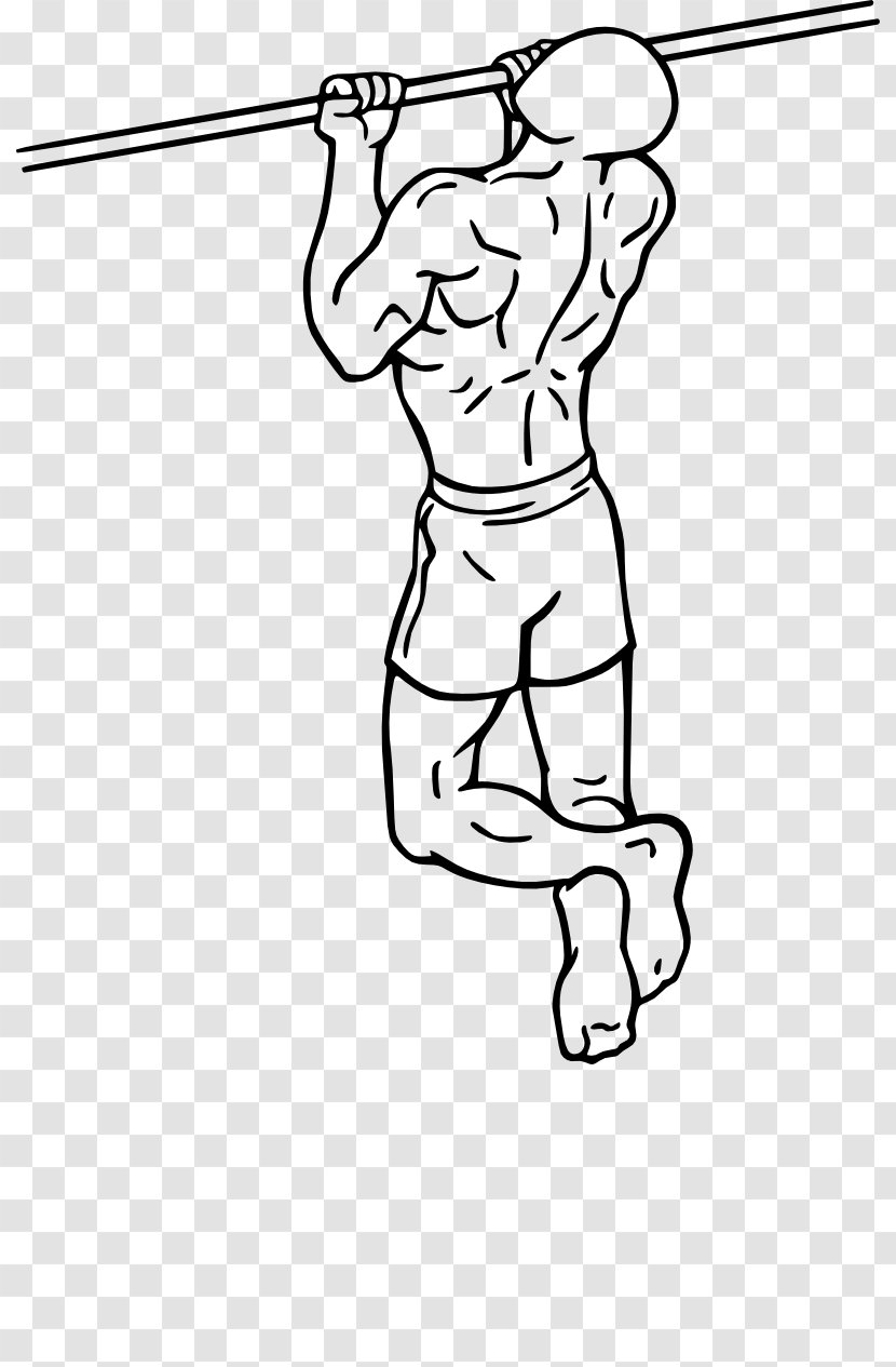 Chin-up Pull-up Exercise Biceps Weight Training - Dip - Pull Up Transparent PNG