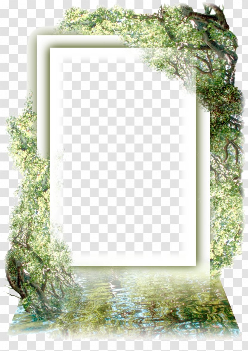 Picture Frames Photography - Frame - Mirror Transparent PNG