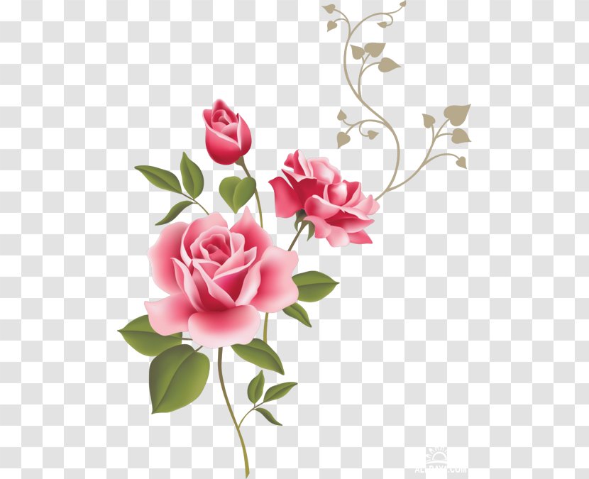 Wall Decal Rose Flower Gift Clip Art - Pink Transparent PNG